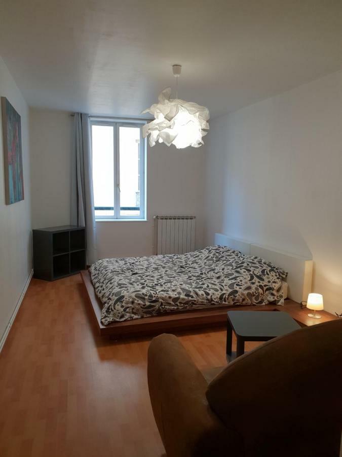 Grand Appartement En Centre Ville Metz Zewnętrze zdjęcie